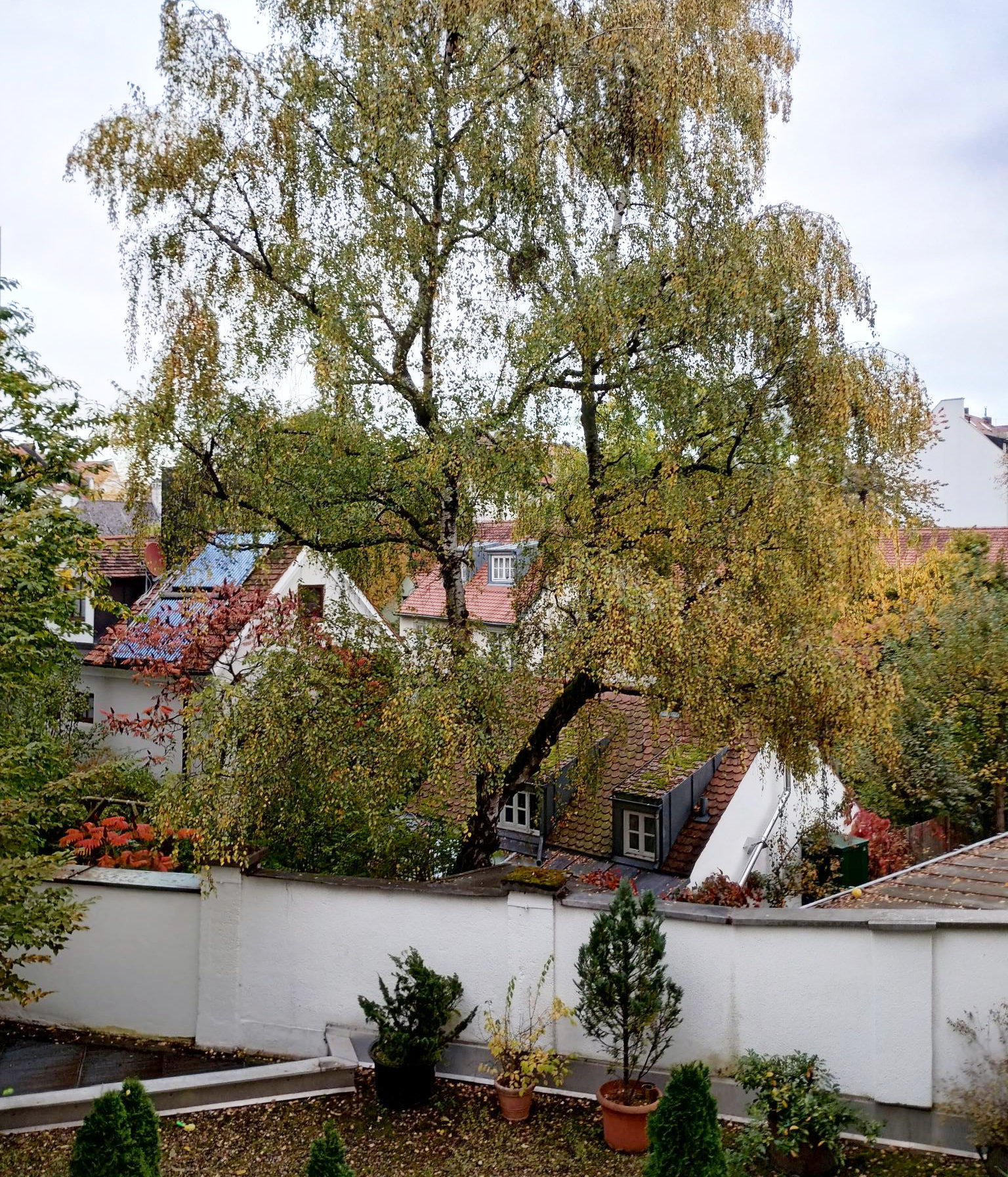 Therapie-Praxis-Ausblick Praxisraum für Therapie